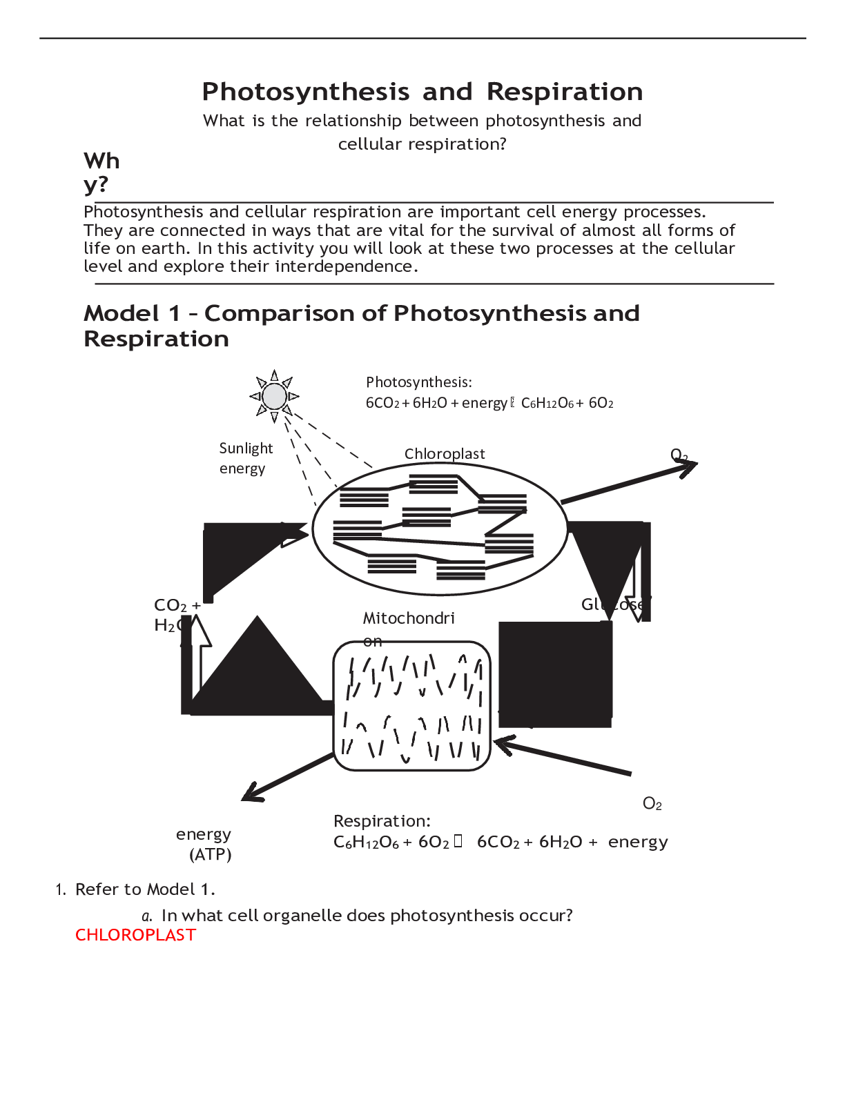 doc-preview-img