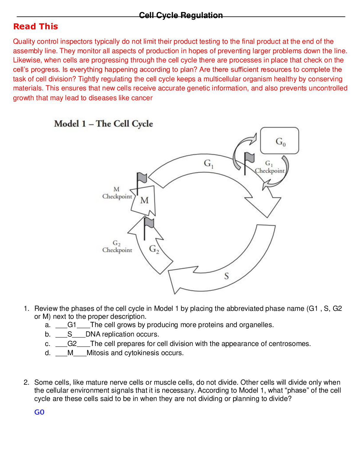 doc-preview-img