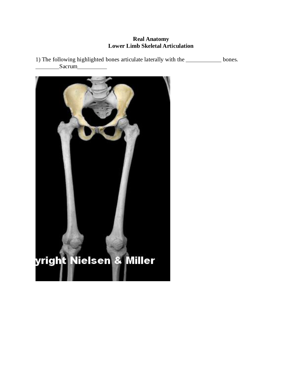 10_lower_limb_skeletal_articulation_Worksheet.docx.pdf