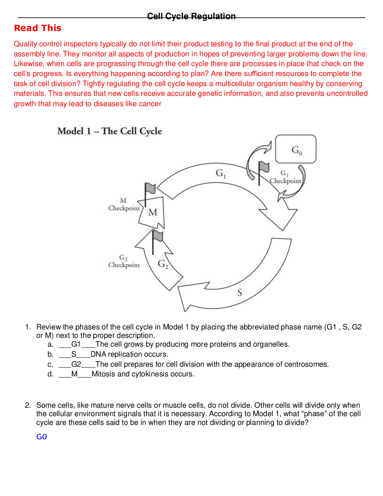 doc-preview-img