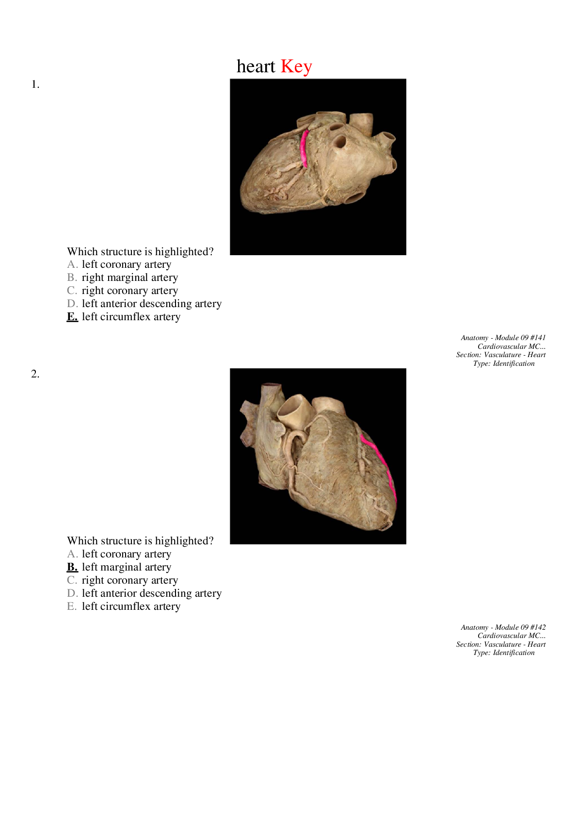 Key_heart_review_quiz__LAB_.pdf