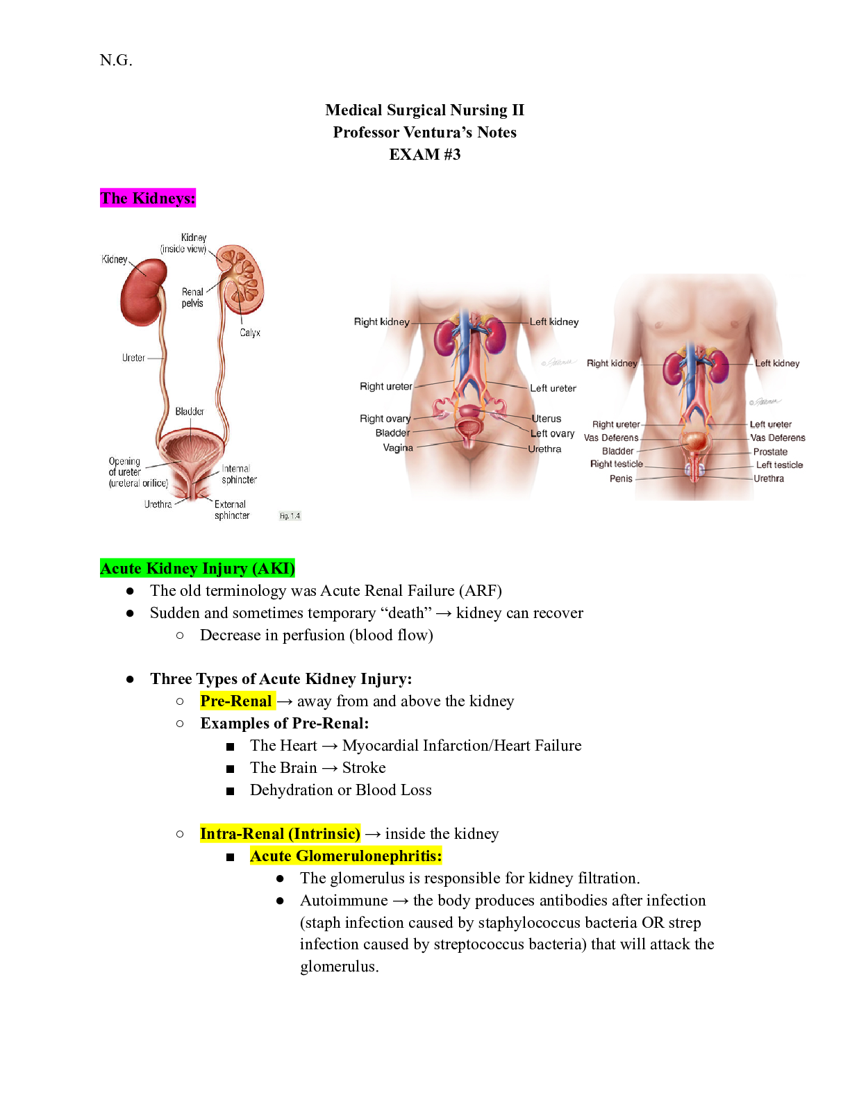 doc-preview-img