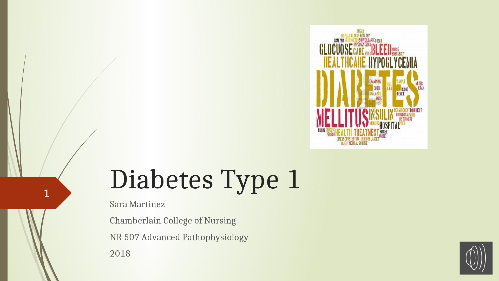 NR 507 Diabetes Type 1 by Sara Martinez (NR 507 Advanced Pathophysiology)